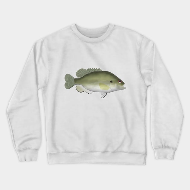 Roanoke Bass Crewneck Sweatshirt by FishFolkArt